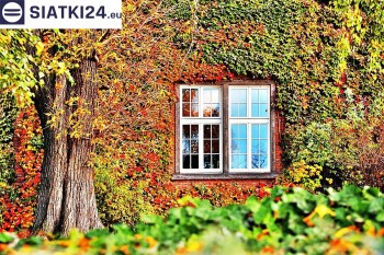 Siatki Łódź - Siatka wspomagająca wzrost roślin pnących na ścianie dla terenów Łodzi