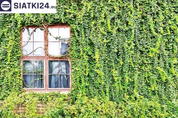 Siatki Łódź - Siatka z dużym oczkiem - wsparcie dla roślin pnących na altance, domu i garażu dla terenów Łodzi